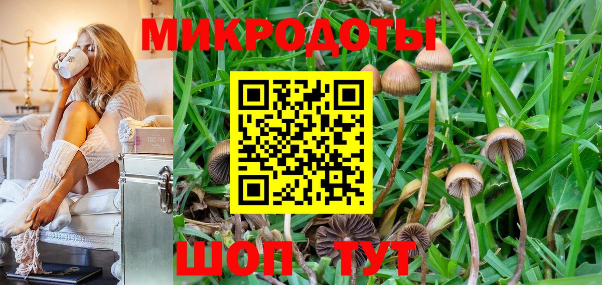 Псилоцибиновые грибы Cubensis  Вход с VPN  Керчь 